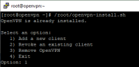 Connecting-to-OpenVPN-13