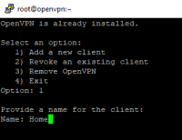 Connecting-to-OpenVPN-14